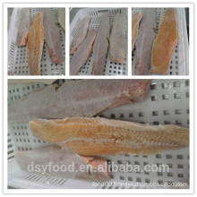Fujian factory of catfish HGT/ catfish fillet